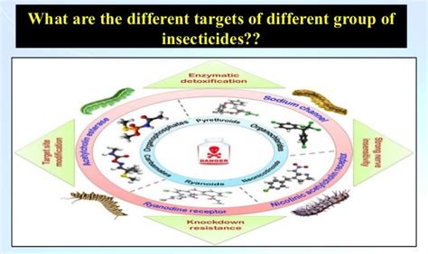 leadforce insecticide|Molecular targets of insecticides and herbicides .